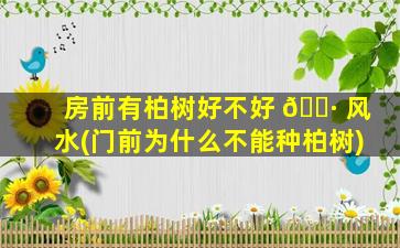 房前有柏树好不好 🌷 风水(门前为什么不能种柏树)